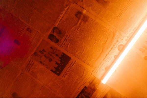 Descubre remedios naturales para revitalizar la salud de tu cabello